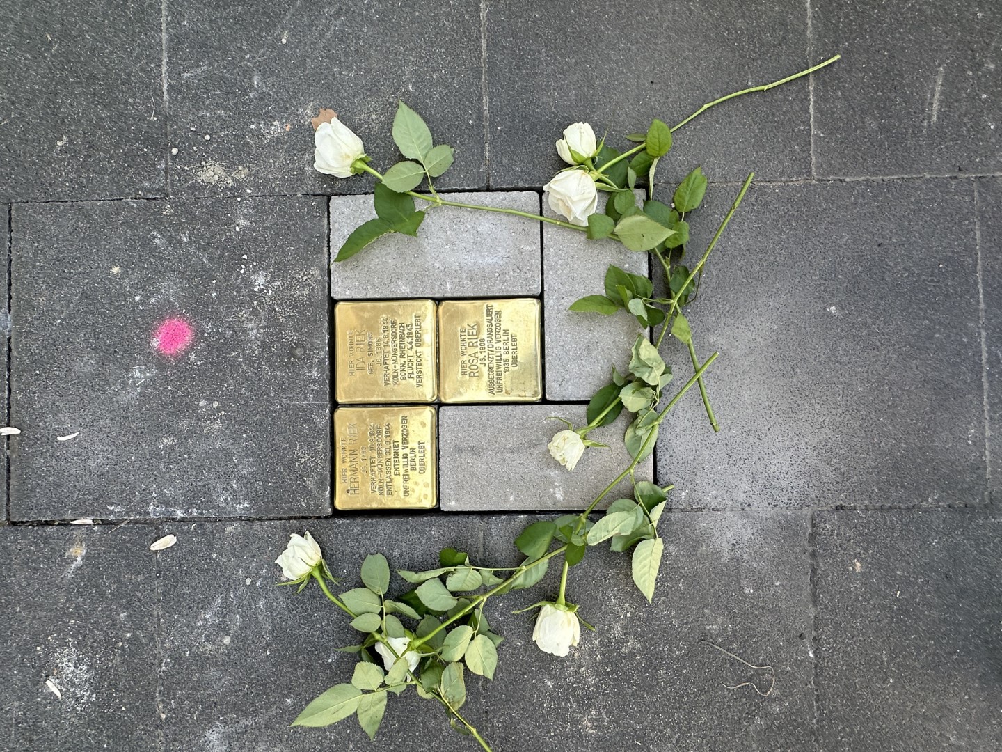 2024 08 Stolpersteine Familie Riek