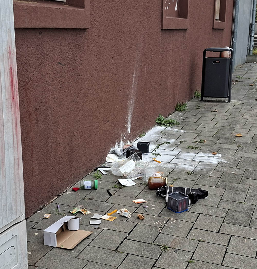 2025 Muellsammelaktion 01