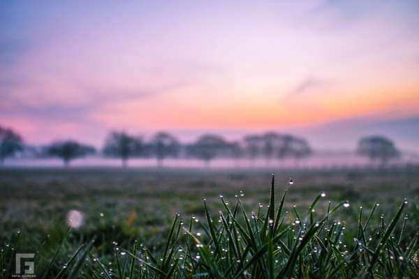 Frühling